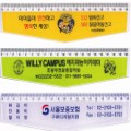 ����Ʈ �� 20CM